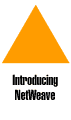 Introducing NetWeave