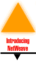 Introducing NetWeave