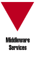 Middleware Services