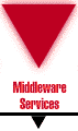 Middleware Services